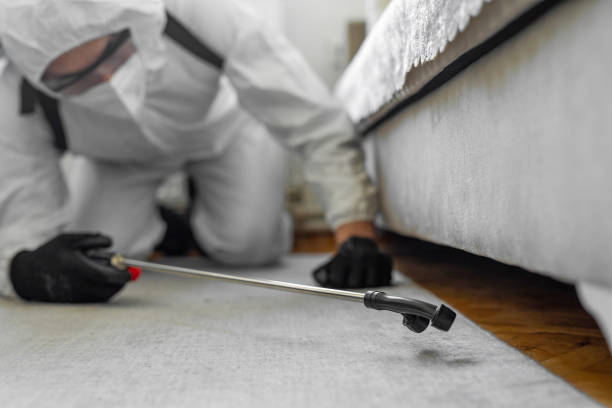 Professional Termite Control technician working in Homeland, CA