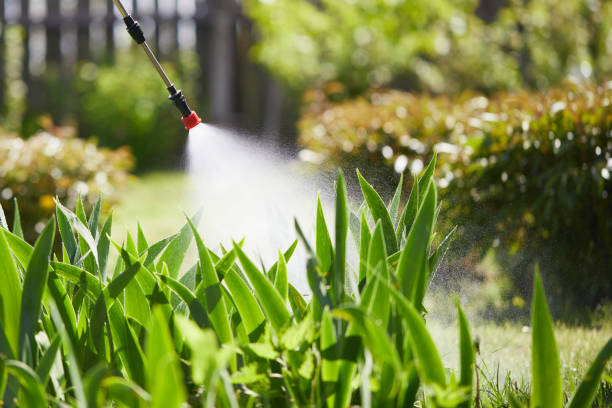 24/7 Emergency Termite Control experts in Homeland, CA